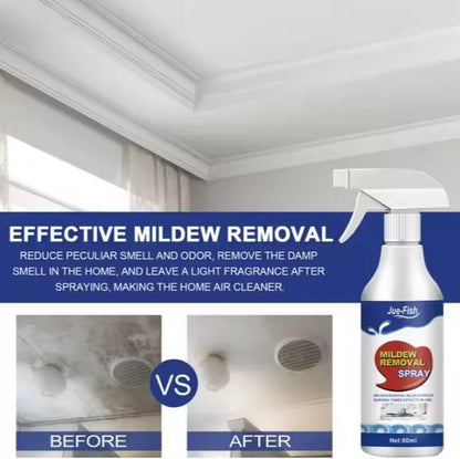 Multipurpose Mold Remover Cleaning & Mildew Removal 60ml